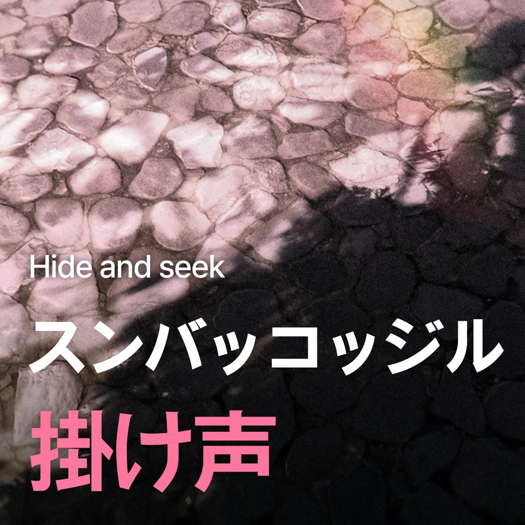 Hide and Seek